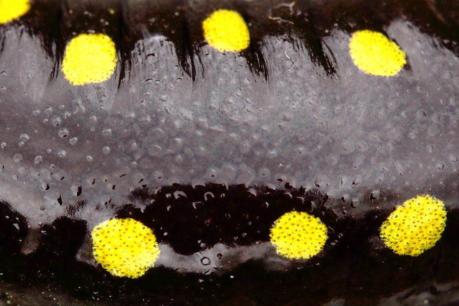 sensores inteligentes